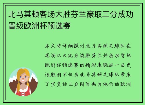 北马其顿客场大胜芬兰豪取三分成功晋级欧洲杯预选赛