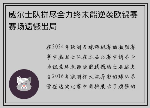 威尔士队拼尽全力终未能逆袭欧锦赛赛场遗憾出局